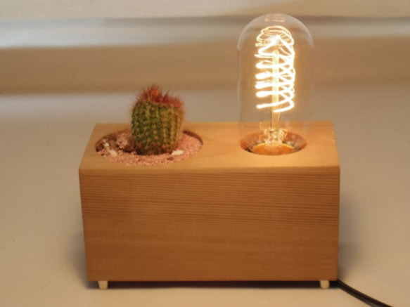 THE GOOD OLD TIME LAMP-SUCCULENT　 2枚目の画像
