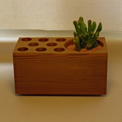 Desk Organizer "Succulent"　 4枚目の画像