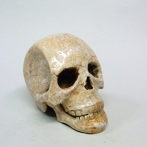 ◇『ドクロ 下顎付』(髑髏) atelier_juni 陶芸細工 その他置物 魔界の