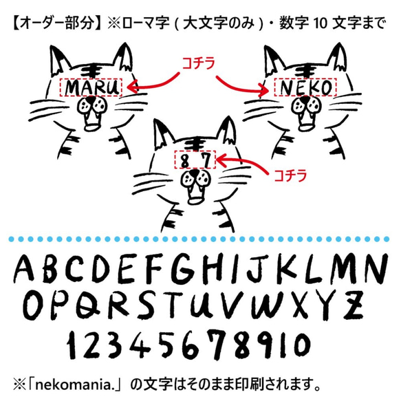  第7張的照片