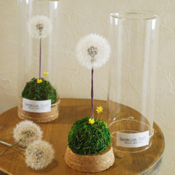 ボトルアレンジ～たんぽぽの綿毛・ドライフラワー②～ ドライフラワー