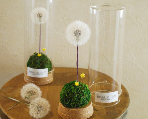 専用感謝sale＊パンパスツリーのジャンボドライボトル＆コットンのブリキアレンジ 木の実・大人シックなホワイトツリー☆クリスマスツリー☆ナッツ