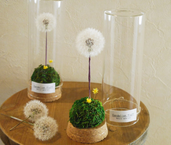 ボトルアレンジ～たんぽぽの綿毛・ドライフラワー②～ ドライフラワー