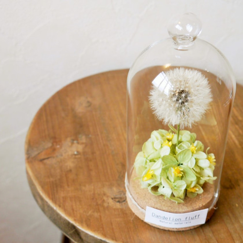 ガラスドームアレンジ～たんぽぽの綿毛・ドライフラワー①～ ドライ