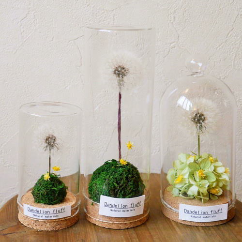 ガラスドームアレンジ～たんぽぽの綿毛・ドライフラワー①～ ドライ