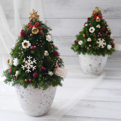 Creema限定～プリザーブドフラワー＆ドライフラワーのクリスマスツリー