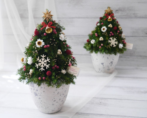 ドライフラワー クリスマスツリー 0_f7267698eae5734240fe43aea9cf