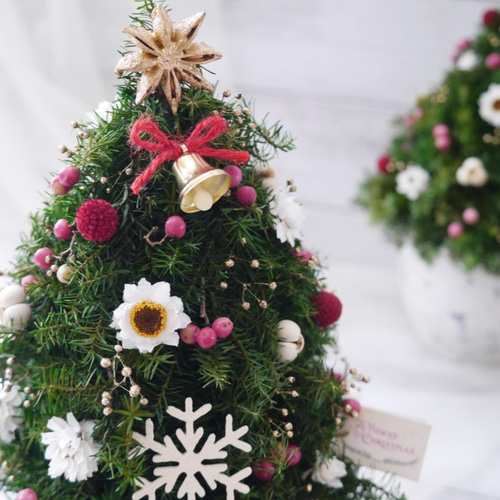 Creema限定～プリザーブドフラワー＆ドライフラワーのクリスマスツリー