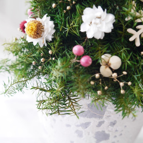 真っ白なクリスマスツリー/ドライフラワー　プリザープドフラワー　クリスマス Creema限定～プリザーブドフラワー＆ドライフラワーのクリスマスツリー