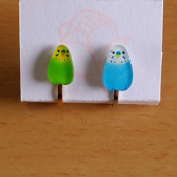 受注制作 セキセイインコ イヤリング/ピアス/蝶タック 6枚目の画像