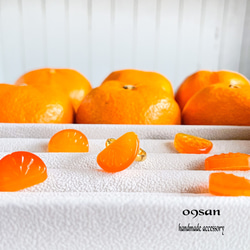 りんごミカン様ꕤ*.゜ Amazon | ダイヤケミカル（DIA CHEMICAL）/(DIAX) (POPPY