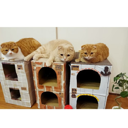 ねこねこHOME'Sカントリー  猫ハウス  爪とぎ付きじゅうたん屋根  猫ちぐら 1枚目の画像