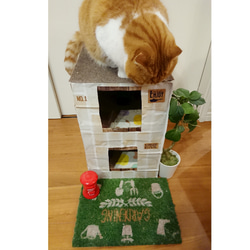 ねこねこHOME'Sカントリー  猫ハウス  爪とぎ付きじゅうたん屋根  猫ちぐら 3枚目の画像