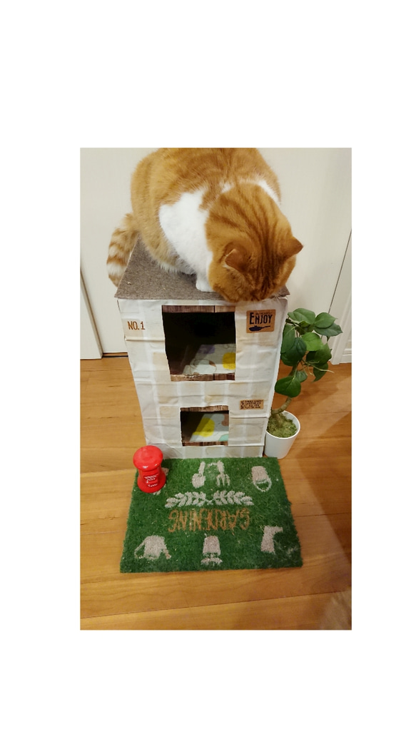 ねこねこHOME'Sカントリー  猫ハウス  爪とぎ付きじゅうたん屋根  猫ちぐら 3枚目の画像