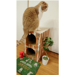 ねこねこHOME'Sカントリー  猫ハウス  爪とぎ付きじゅうたん屋根  猫ちぐら 4枚目の画像