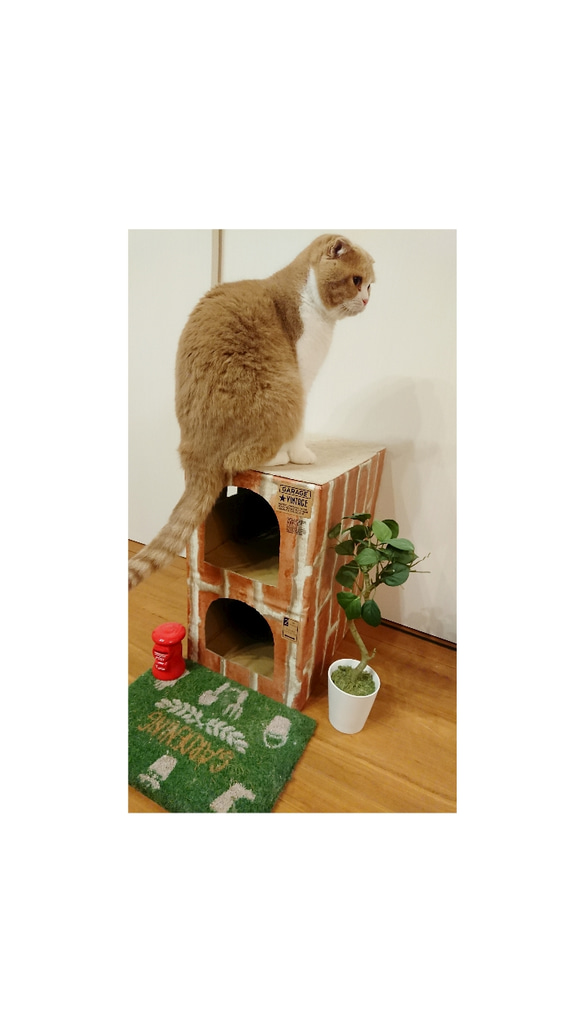 ねこねこHOME'Sカントリー  猫ハウス  爪とぎ付きじゅうたん屋根  猫ちぐら 4枚目の画像