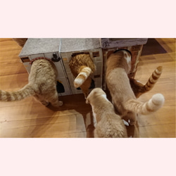 ねこねこHOME'Sカントリー ナチュラル 猫ハウス  爪とぎじゅうたん屋根 キャットハウス   猫タワー キャットタワ 4枚目の画像