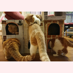 ねこねこHOME'Sカントリー ナチュラル 猫ハウス  爪とぎじゅうたん屋根 キャットハウス   猫タワー キャットタワ 5枚目の画像