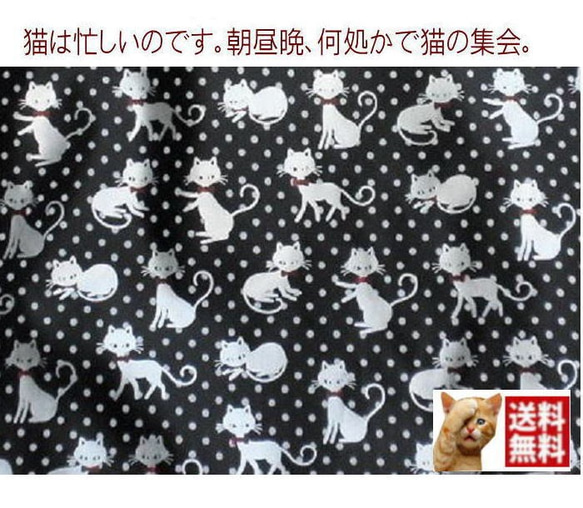 【送料無料】猫柄トートバッグ 小さめ  猫の集会 ペットボトル ビニールコーティング コットン 6枚目の画像