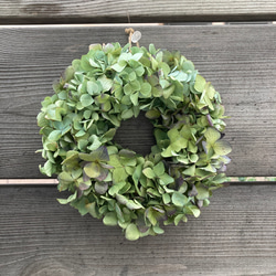 羊毛フェルト＊ブルースターのブローチ＊ ブローチ tamyuu 通販