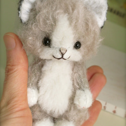 DOILY BEAR  はちわれの猫chan 3枚目の画像