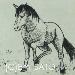 銅版画　”Pony”　シート 1枚目の画像