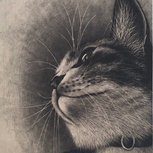 銅版画「きらめき」シート 版画 佐藤恵美 通販 9440229｜Creema