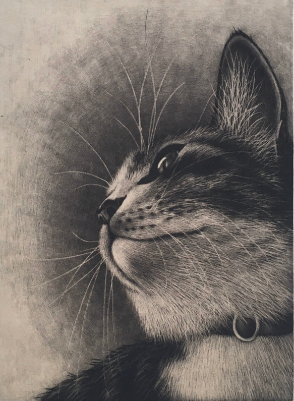 銅版画「きらめき」シート 版画 佐藤恵美 通販 9440229｜Creema