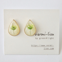 *･◎春限定◎ 黄緑のかすみ草のしずくピアス 1枚目の画像