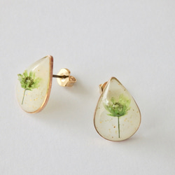 *･◎春限定◎ 黄緑のかすみ草のしずくピアス 5枚目の画像