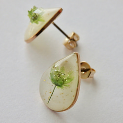 *･◎春限定◎ 黄緑のかすみ草のしずくピアス 6枚目の画像