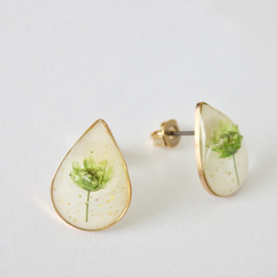 *･◎春限定◎ 黄緑のかすみ草のしずくピアス 7枚目の画像