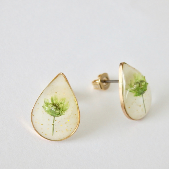 *･◎春限定◎ 黄緑のかすみ草のしずくピアス 7枚目の画像