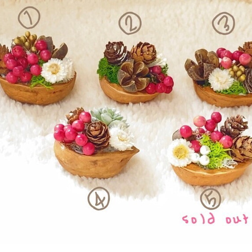 クルミの殻のアレンジメント その他置物 irodori blend 通販 10893629