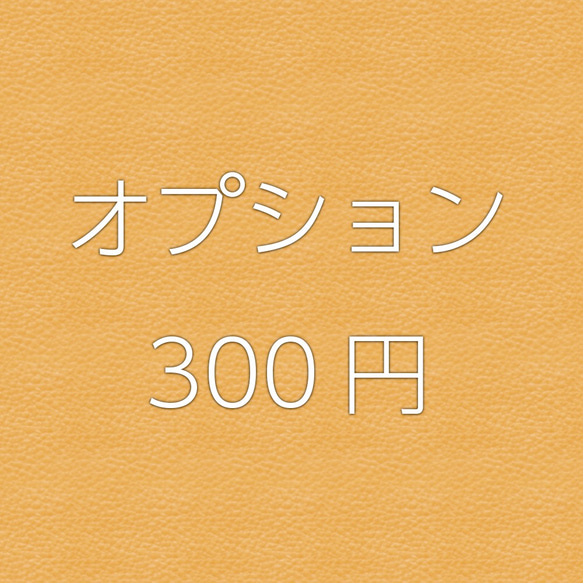 オプション 300円 1枚目の画像