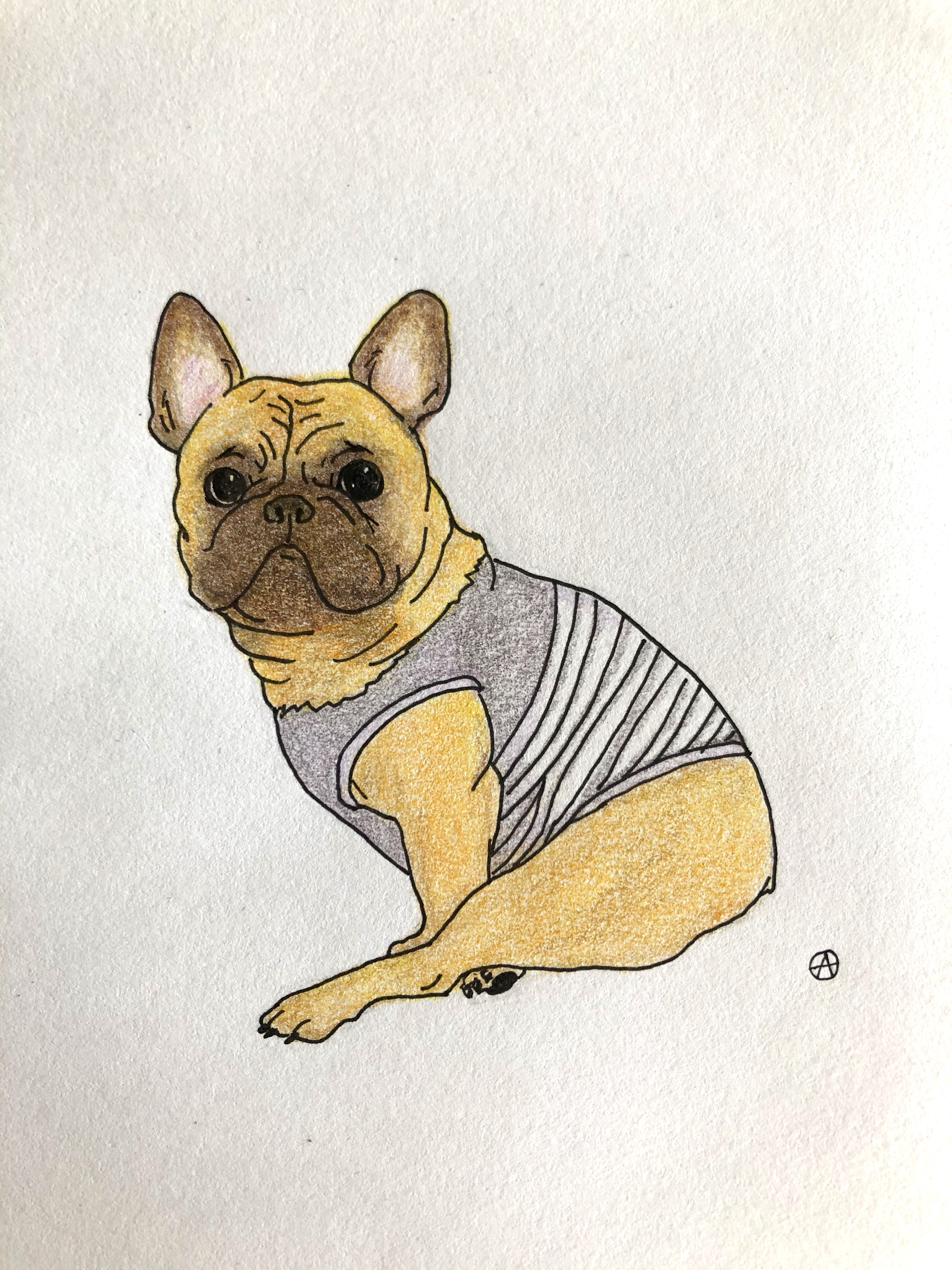 フレンチブルの絵 フレンチブルの絵 Title “French Bulldog” spray painted on