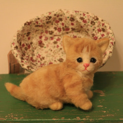 羊毛フェルト 猫 マンチカン 子猫 3枚目の画像