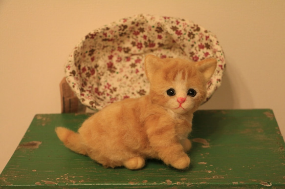羊毛フェルト 猫 マンチカン 子猫 3枚目の画像