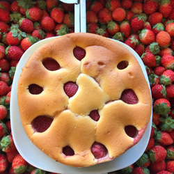 《野生紅茶付き》丸ごと苺のチーズケーキ ギフト、お祝いに！アイスチーズケーキもおすすめ！　ギフトセットに。 1枚目の画像