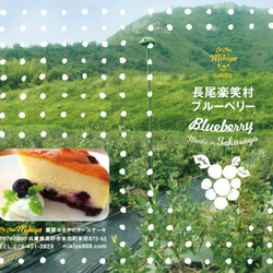 ★3月末終売★ 自家栽培米使用　兵庫県高砂産フレッシュブルーベリーのチーズケーキ 5枚目の画像