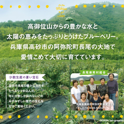 ★3月末終売★ 自家栽培米使用　兵庫県高砂産フレッシュブルーベリーのチーズケーキ 6枚目の画像