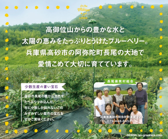 ★3月末終売★ 自家栽培米使用　兵庫県高砂産フレッシュブルーベリーのチーズケーキ 6枚目の画像
