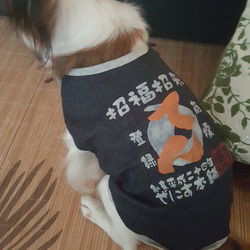 再販【6~7号】お名前入れます オリジナルペイント 犬の特攻服 ペット服