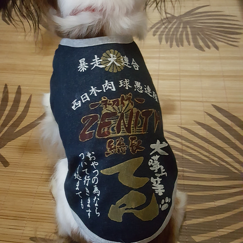 再販【6~7号】お名前入れます オリジナルペイント 犬の特攻服 ペット服