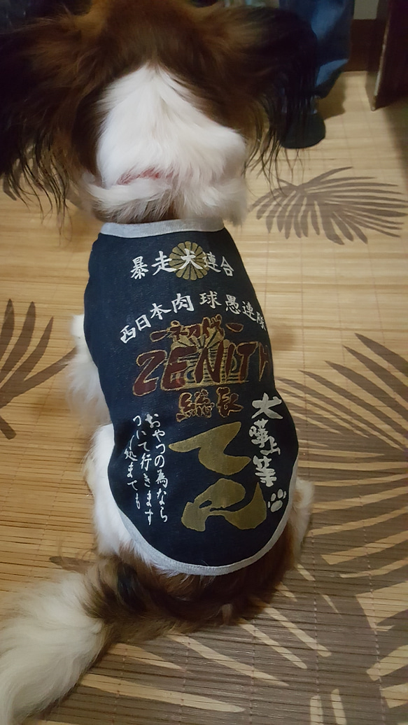 再販【6~7号】お名前入れます オリジナルペイント 犬の特攻服 ペット服 