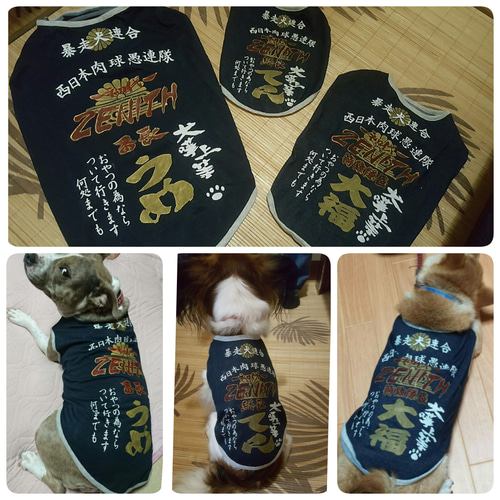 再販【6~7号】お名前入れます オリジナルペイント 犬の特攻服 ペット服 