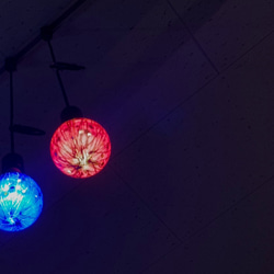 紅玉　　LED電球 2枚目の画像