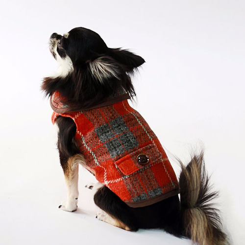 SS.SのみSale! ハリスツイード ドッグウェア（オレンジタータン