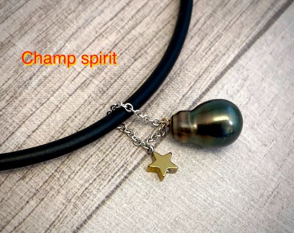 Champ spirit（チャンプスピリット） 7,200円