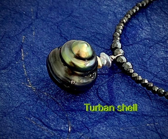 Turban shell（ターバンシェル）